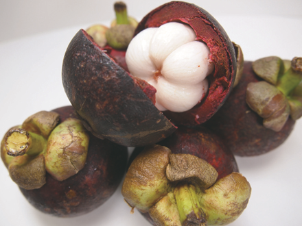 MANGOSTEEN