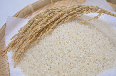 RICE (JAPANESE, CALIFORNIAN, ITALIAN,  and OTHER RICES)