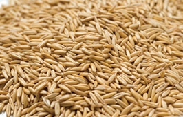 OATS (DROS, MD/FD OATS)