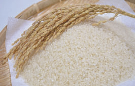 RICE (JAPANESE, CALIFORNIAN, ITALIAN,  and OTHER RICES)